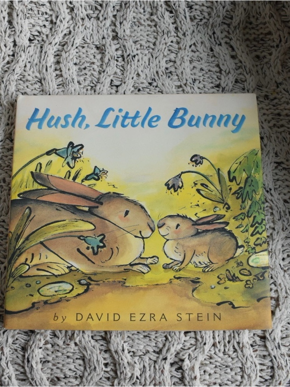 Hush, Little Bunny Picture Book by David Ezra Stein - Yellow & Brown Cover